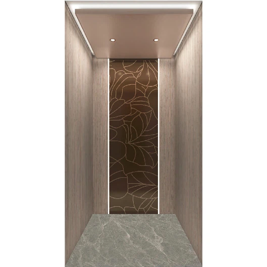 Wood Grain One Person Home Elevator